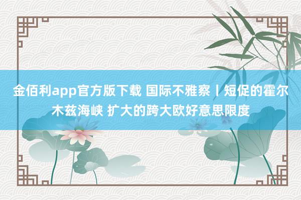 金佰利app官方版下载 国际不雅察丨短促的霍尔木兹海峡 扩大的跨大欧好意思限度