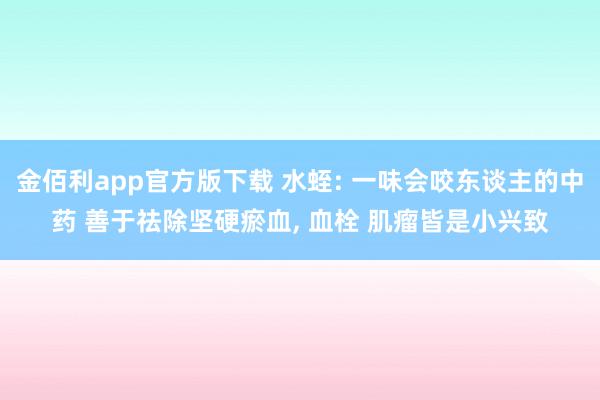 金佰利app官方版下载 水蛭: 一味会咬东谈主的中药 善于祛除坚硬瘀血， 血栓 肌瘤皆是小兴致