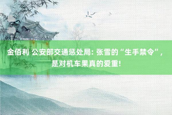 金佰利 公安部交通惩处局: 张雪的“生手禁令”， 是对机车果真的爱重!