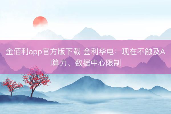 金佰利app官方版下载 金利华电：现在不触及AI算力、数据中心限制