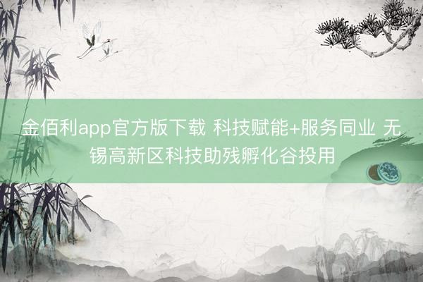 金佰利app官方版下载 科技赋能+服务同业 无锡高新区科技助残孵化谷投用