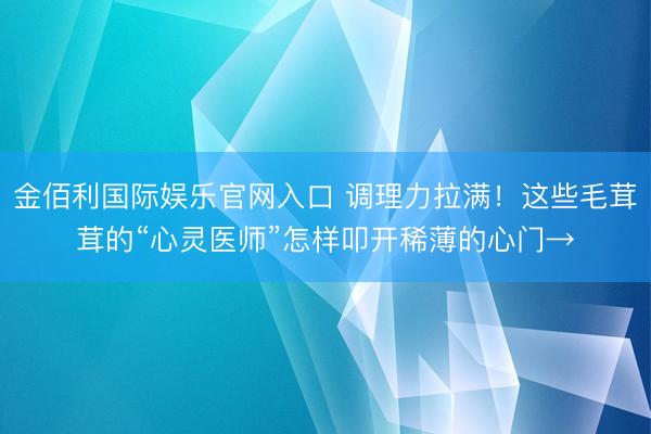 金佰利国际娱乐官网入口 调理力拉满！这些毛茸茸的“心灵医师”怎样叩开稀薄的心门→