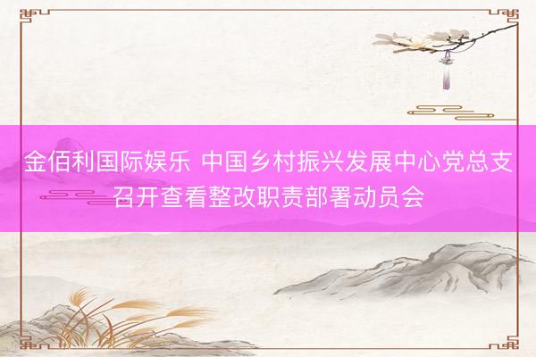 金佰利国际娱乐 中国乡村振兴发展中心党总支召开查看整改职责部署动员会