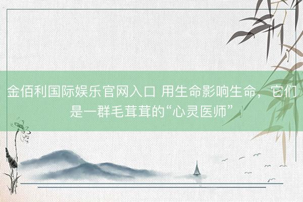 金佰利国际娱乐官网入口 用生命影响生命，它们是一群毛茸茸的“心灵医师”
