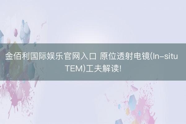 金佰利国际娱乐官网入口 原位透射电镜(In-situ TEM)工夫解读!