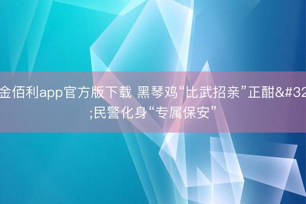 金佰利app官方版下载 黑琴鸡“比武招亲”正酣 民警化身“专属保安”