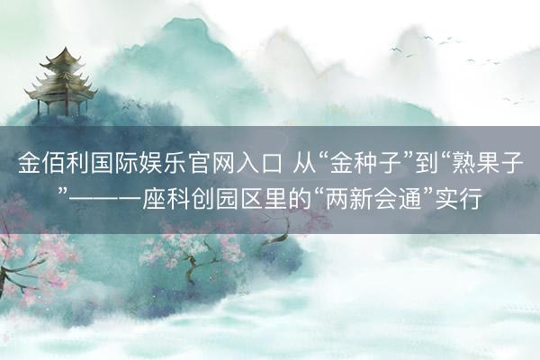 金佰利国际娱乐官网入口 从“金种子”到“熟果子”——一座科创园区里的“两新会通”实行