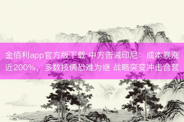 金佰利app官方版下载 中方告诫印尼：成本暴涨近200%，多数技俩恐难为继 战略突变冲击合营