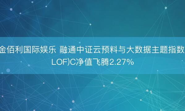 金佰利国际娱乐 融通中证云预料与大数据主题指数(LOF)C净值飞腾2.27%
